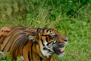 2016-07-20 Avond Dierentuin - 20160720-2114-102908