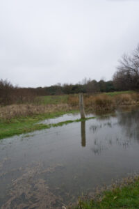 202-2016-01-09 Landtong Rozenburg