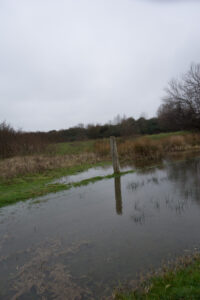 203-2016-01-09 Landtong Rozenburg