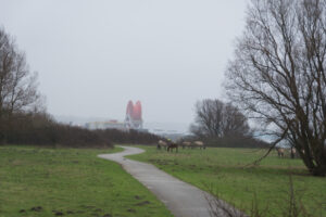210-2016-01-09 Landtong Rozenburg