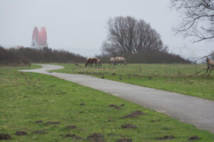 213-2016-01-09 Landtong Rozenburg