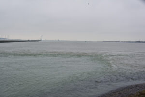 218-2016-01-09 Landtong Rozenburg