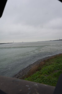 219-2016-01-09 Landtong Rozenburg
