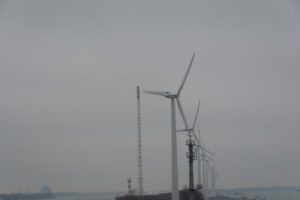 232-2016-01-09 Landtong Rozenburg