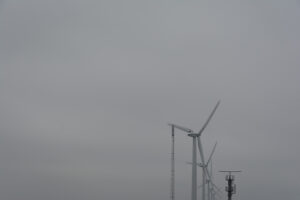 233-2016-01-09 Landtong Rozenburg