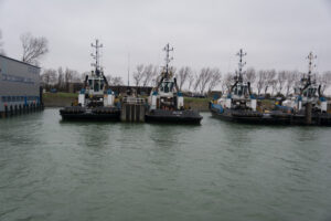 239-2016-01-09 Landtong Rozenburg