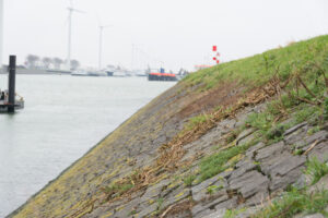 254-2016-01-09 Landtong Rozenburg