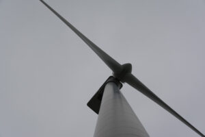 258-2016-01-09 Landtong Rozenburg
