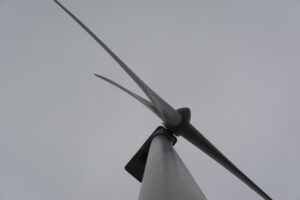 259-2016-01-09 Landtong Rozenburg