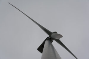260-2016-01-09 Landtong Rozenburg