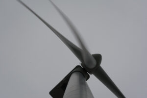 268-2016-01-09 Landtong Rozenburg