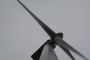 269-2016-01-09 Landtong Rozenburg