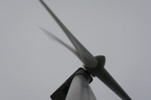 273-2016-01-09 Landtong Rozenburg