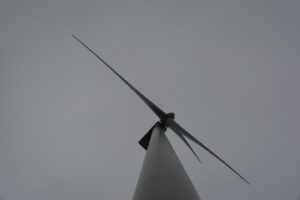 275-2016-01-09 Landtong Rozenburg