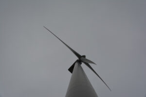 276-2016-01-09 Landtong Rozenburg