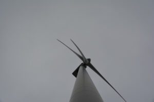 277-2016-01-09 Landtong Rozenburg