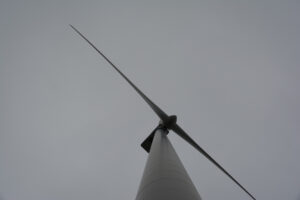 279-2016-01-09 Landtong Rozenburg