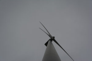 280-2016-01-09 Landtong Rozenburg