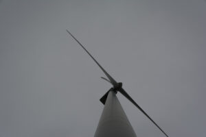 281-2016-01-09 Landtong Rozenburg