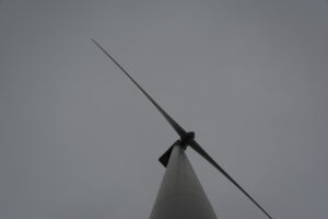 282-2016-01-09 Landtong Rozenburg