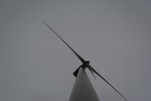 283-2016-01-09 Landtong Rozenburg