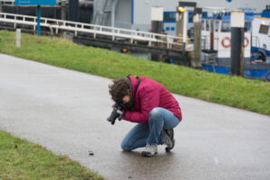 291-2016-01-09 Landtong Rozenburg