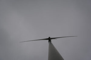 293-2016-01-09 Landtong Rozenburg