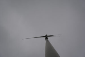 294-2016-01-09 Landtong Rozenburg
