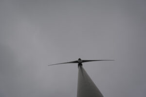 295-2016-01-09 Landtong Rozenburg
