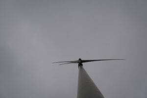 296-2016-01-09 Landtong Rozenburg