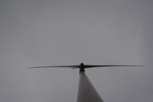 299-2016-01-09 Landtong Rozenburg