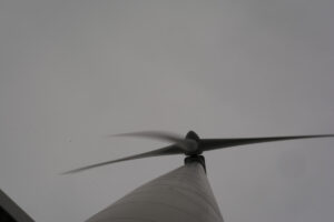 307-2016-01-09 Landtong Rozenburg