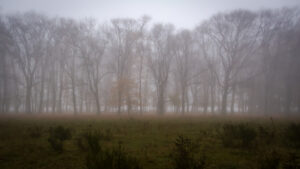 001-2015-11-08 Winterwandeling Rhenen