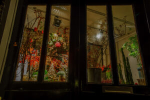 002-2015-10-28 Delft Avond met Iris