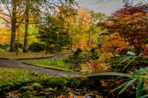 004-2015-10-25 Clingendeal en Japanse Tuin