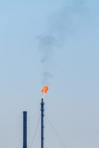 005-2015-08-22 Landtong met Mieke