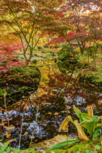 005-2015-10-25 Clingendeal en Japanse Tuin