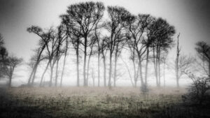 005-2015-11-08 Winterwandeling Rhenen