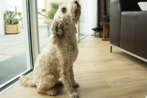 006-2014-04-21 Familie Marja op visite
