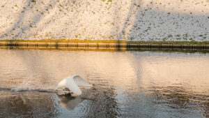006-2014-12-28 Sneeuw Zuiderpark EO