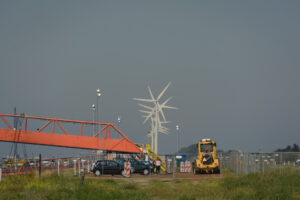 006-2015-08-22 Landtong met Mieke