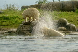 006-2015-09-05 Bljdorp met Iris