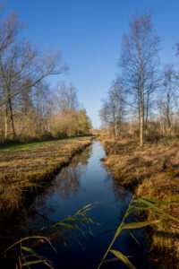 006-2015-11-28 Weerribben en Orchideenhoeve