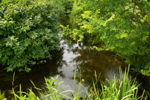 008-2014-06-15 Stukkie wandelen Wateingseveld