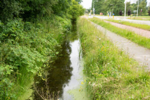 009-2014-06-15 Stukkie wandelen Wateingseveld