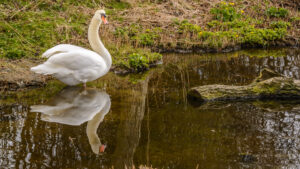 009-2015-03-22 Park Overvoorde