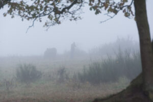 009-2015-11-08 Winterwandeling Rhenen