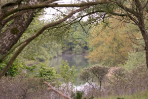 010-2014-05-04 Amsterdamse waterleidingduinen Les 6