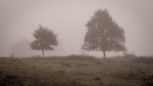010-2015-11-08 Winterwandeling Rhenen