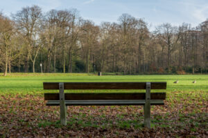 010-2015-12-28 Rijswijk en Scheveningen